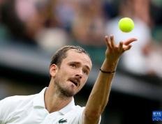 IM体育官方平台-澳网碾压法网，梅德韦杰夫刷新纪录的简单介绍