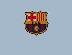 IM体育官方网-西甲国家德比启示录，巴西足球哲学如何击败英格兰的现代足球